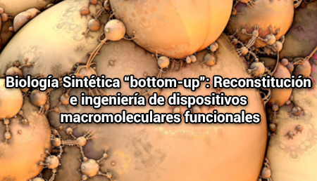 Biología Sintética “bottom-up”: Reconstitución e ingeniería de dispositivos macromoleculares funcionales